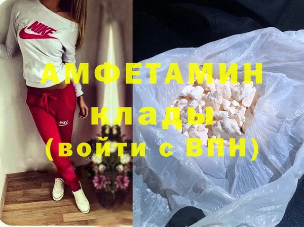шишки Алзамай