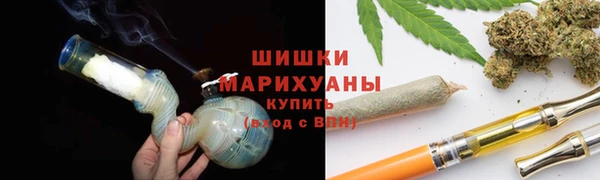 шишки Алзамай